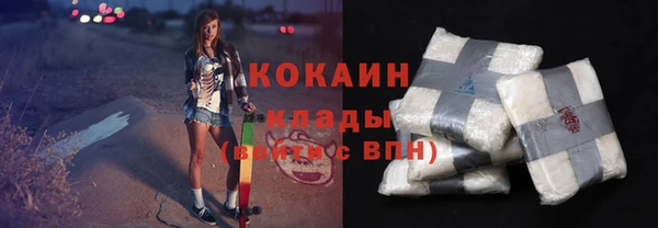 шишки Балахна