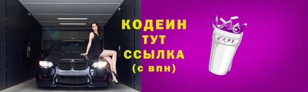 стаф Богданович