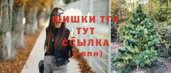гашик Белоозёрский