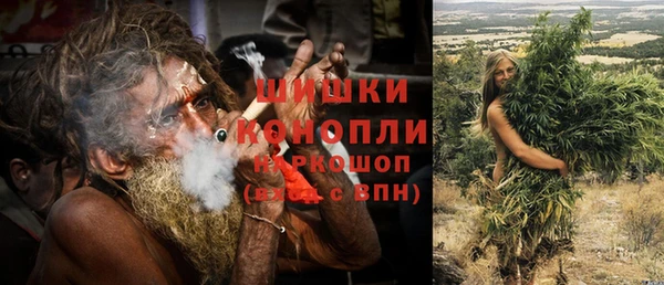 СК Бородино