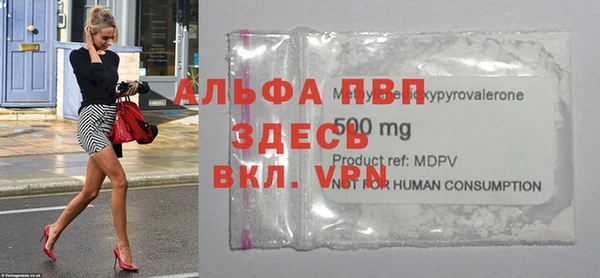 сатива Белокуриха